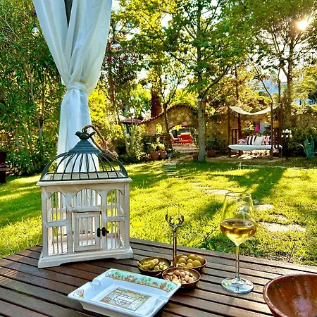 Bed and Breakfast Kemerbag 29 12 Yas Uestue (adults Only) 4*