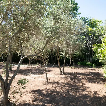 Bed and Breakfast Kemerbag 29 12 Yas Uestue (adults Only) Τένεδος