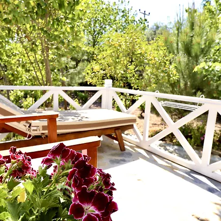 Kemerbag 29 12 Yas Uestue (adults Only) Bed and Breakfast Τένεδος